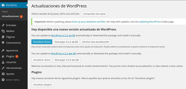 Actualizaciones de WorPress