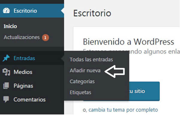 Añadir nueva entrada