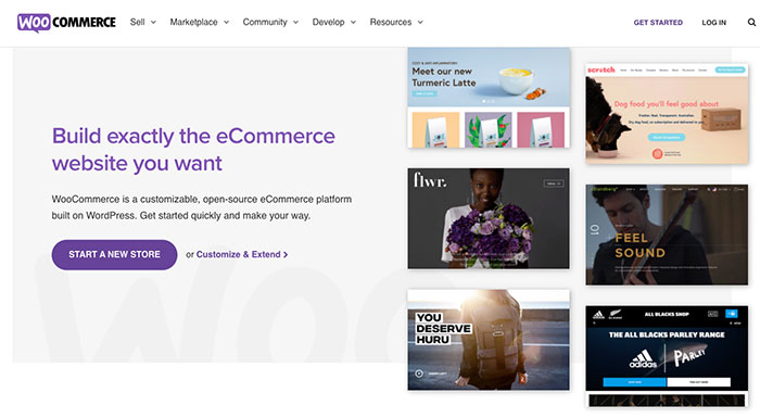 Diseño y desarrollo de tiendas online con Woocommerce Diseño y desarrollo de tiendas online con Woocommerce