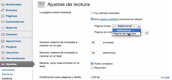 Editar pagina de inicio
