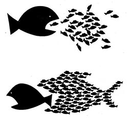 Estrategias para pequeñas empresas