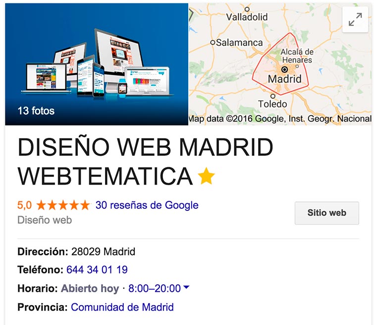 Google my business webtematica