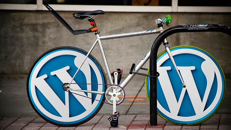 Historia de las webs en Wordpress