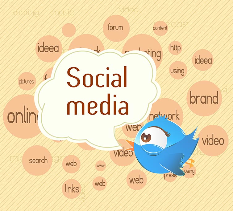 Social Media Seo