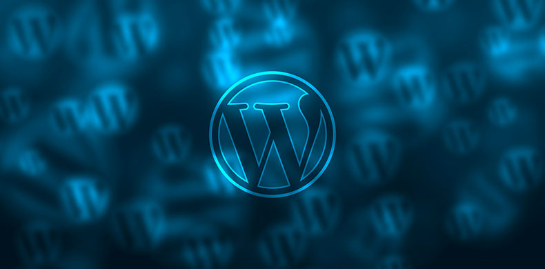 SEO Wordpress